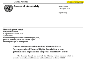 Involvement of Security and Military Companies and Mercenaries in Providing Military Support to Parties to Conflict